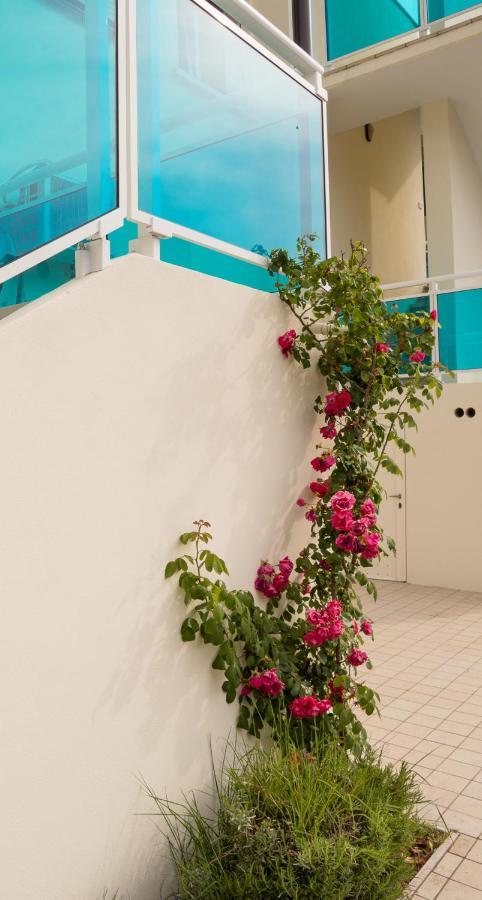 Apartment Zzznon Attivo Ex Dl5 E Dl6